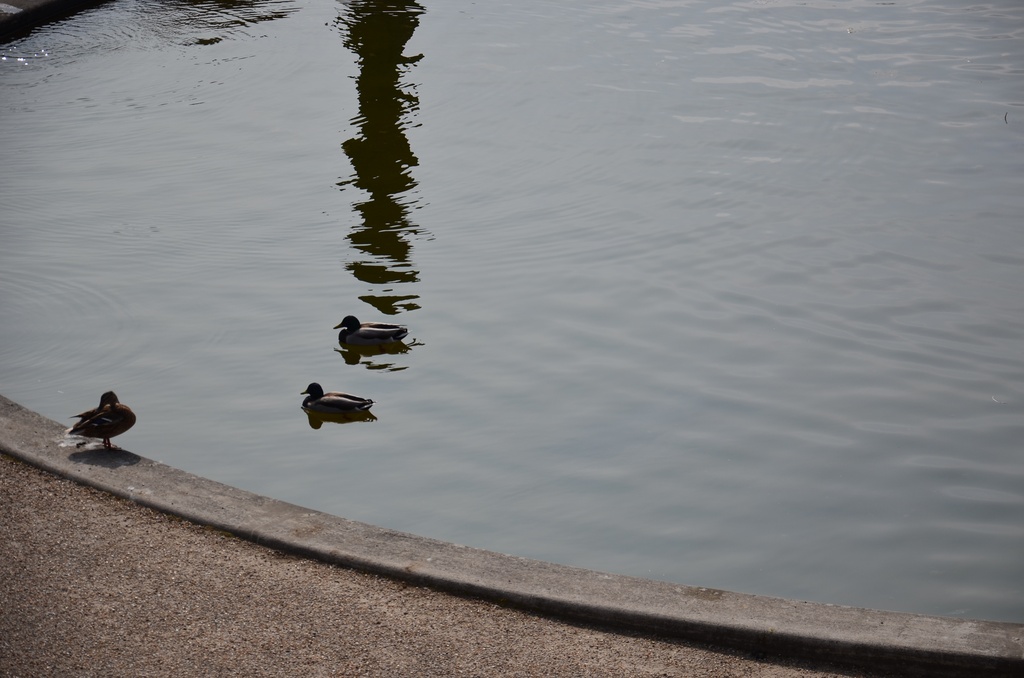 2018-04-14 Copenhagen/Center/DSC_0011.JPG